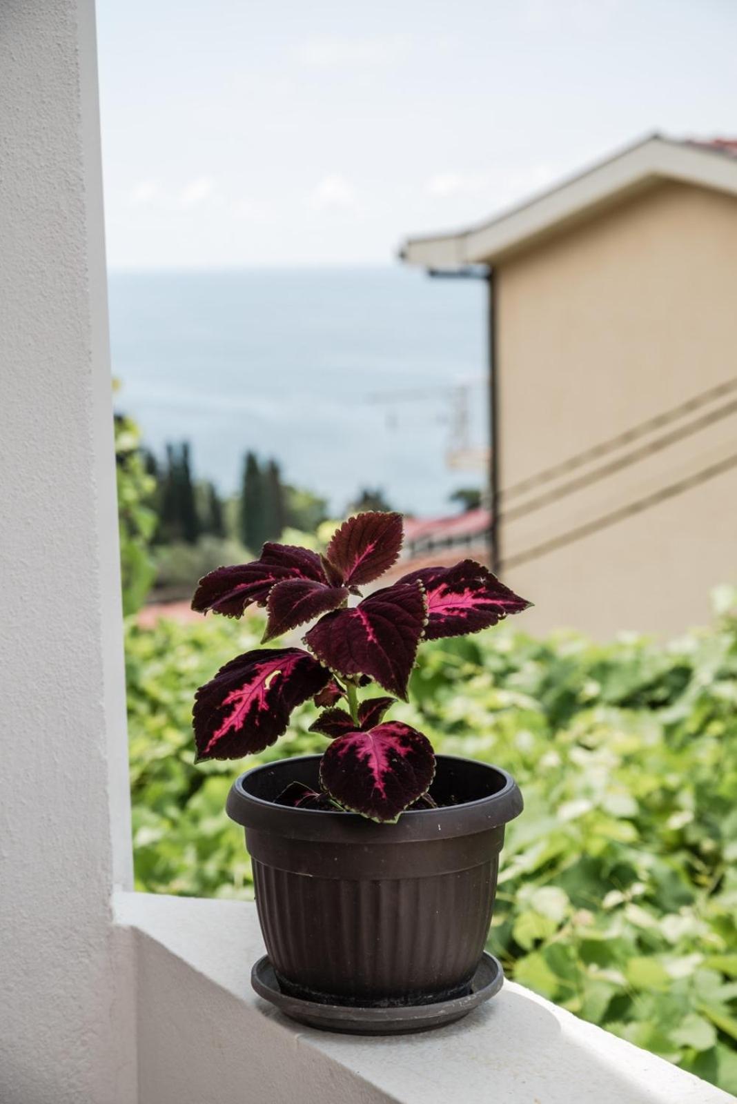 Adriatic Sea View Rooms Улцинь Экстерьер фото